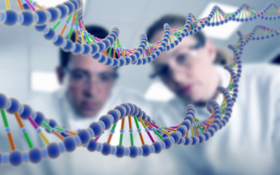 изучение ДНК