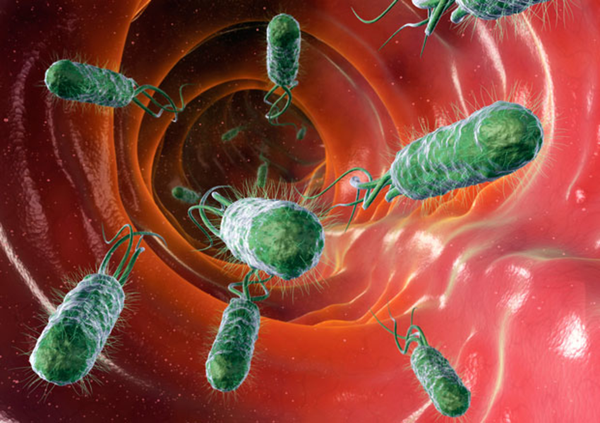 Микробы в организме человека