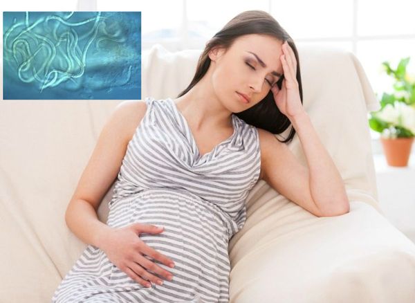 влияние глистов на беременность