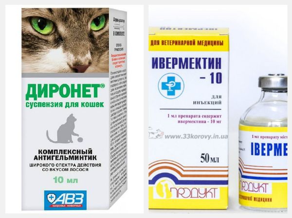 Уколы для кошек купить. Ивермектин препараты для животных. Ивермектин таблетки для кошек. Препараты от чесотки для кошек и собак. Ивермектин в ветеринарных препаратах.